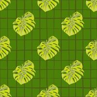 Monstera leaves seamless pattern. Exotic jungle plants endless wallpaper. Leaf background. Hawaiian rainforest floral backdrop. vector