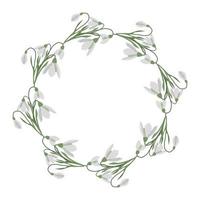 A frame of snowdrops for your design. vector