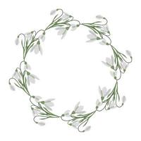 A frame of snowdrops for your design. vector