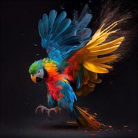 colorful parrot splashing colors on black background photo