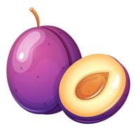 Plum with plum half cartoon style vector illustration.