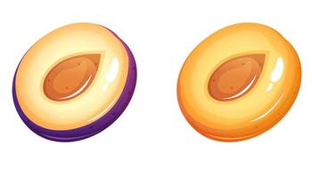 Plum and apricot half cartoon style illustration. vector