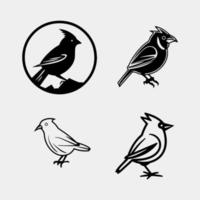 vector set of birds isolated on white background