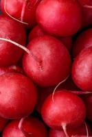 Delicious fresh raw red radish for making healthy salad photo