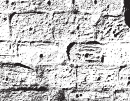 rustik grunge textur med spannmål och fläckar. abstrakt ljud bakgrund. png grafisk illustration med transparent bakgrund.