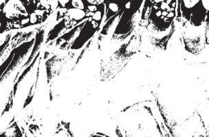 rustik grunge textur med spannmål och fläckar. abstrakt ljud bakgrund. png grafisk illustration med transparent bakgrund.