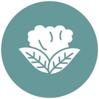 Cauliflower Vector Icon Style