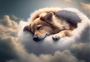 sleeping dog on a cloud. heaven for dogs. pet death. ai generated photo