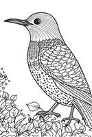 Cute Cartoon Bird outlined for coloring book isolated on a white background. photo