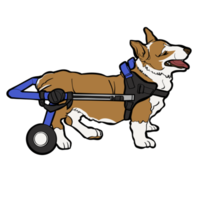 hund rullstol sällskapsdjur ben handikapp png