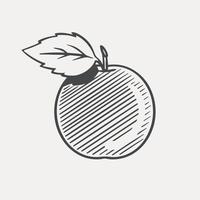 Sketch of an apple. Made by hand, ink drawing. Breakfast for school. Isolated on white background. Vector. vector