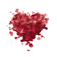 coração a partir de rosa pétalas. png