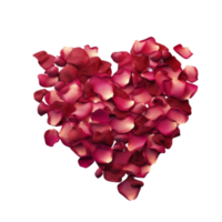 Heart from rose petals. png