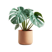 Home Plant in Pot cutout png