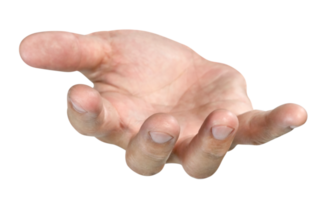 open the palm of the hand isolated png