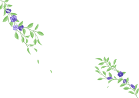 uppsättning av lövverk med fjäril ärta blommig prydnad illustration bakgrund png