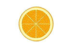 rodaja de naranja aislado sobre fondo blanco vector