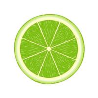 Lime slice illustration for web isolated on white background vector