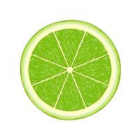 Lime slice illustration for web isolated on white background vector