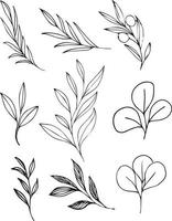 Vector hand drawn floral elements. leaves and twigs line art.  Leaves and twigs line art. Hand drawn floral elements.