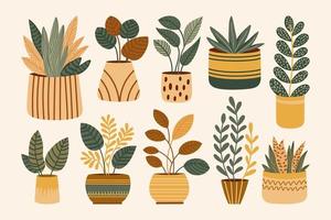 maceta plantas plano aislado conjunto vector