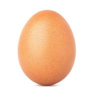 chicken egg isolate on white background photo