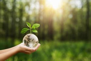 hand holding globe glass and tree growing green nature background. environment eco day concept photo