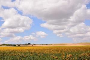 Scenic rural landscape photo