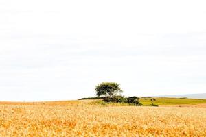 Scenic rural landscape photo