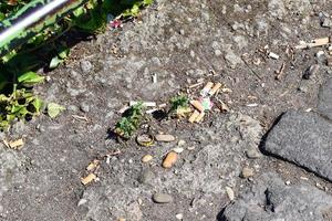 Litter on a Hiking Trail photo