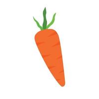 Carrot Fresh Vector Illustration flat design