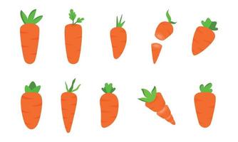 Set of Carrot illustration with flat design cute illustratioon, slice carrot and all kinds of carrots vector