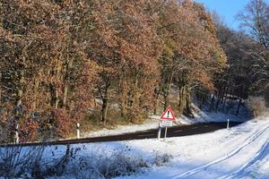 la carretera dentro invierno bosque foto