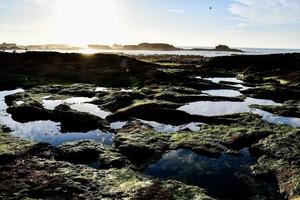 Scenic coastal view photo