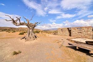 Scenic rural landscape photo