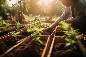 plantando arboles para un sostenible futuro. comunidad jardín y ambiental conservación - promoviendo habitat restauracion y comunidad compromiso en tierra día foto