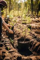 plantando arboles para un sostenible futuro. comunidad jardín y ambiental conservación - promoviendo habitat restauracion y comunidad compromiso en tierra día foto