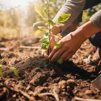 Planting Trees for a Sustainable Future. Community Garden and Environmental Conservation - Promoting Habitat Restoration and Community Engagement on Earth Day photo