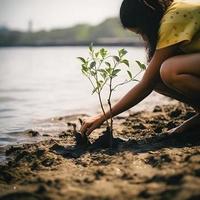 restaurar el línea costera comunidad compromiso en plantando manglares para ambiente conservación y habitat restauracion en tierra día, promoviendo sostenibilidad. tierra día foto