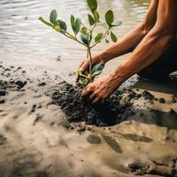 restaurar el línea costera comunidad compromiso en plantando manglares para ambiente conservación y habitat restauracion en tierra día, promoviendo sostenibilidad. tierra día foto