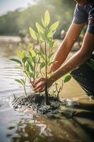 restaurar el línea costera comunidad compromiso en plantando manglares para ambiente conservación y habitat restauracion en tierra día, promoviendo sostenibilidad. tierra día foto