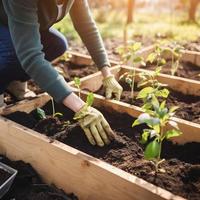 Planting Trees for a Sustainable Future. Community Garden and Environmental Conservation - Promoting Habitat Restoration and Community Engagement on Earth Day photo