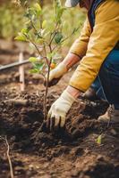 plantando arboles para un sostenible futuro. comunidad jardín y ambiental conservación - promoviendo habitat restauracion y comunidad compromiso en tierra día foto