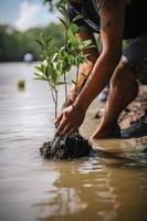 restaurar el línea costera comunidad compromiso en plantando manglares para ambiente conservación y habitat restauracion en tierra día, promoviendo sostenibilidad. tierra día foto