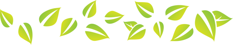 grön blad för spa eller eco begrepp png