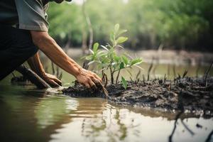 restaurar el línea costera comunidad compromiso en plantando manglares para ambiente conservación y habitat restauracion en tierra día, promoviendo sostenibilidad. tierra día foto