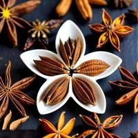 Dried star anise spice top view photo