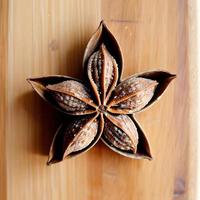 Dried star anise spice top view photo