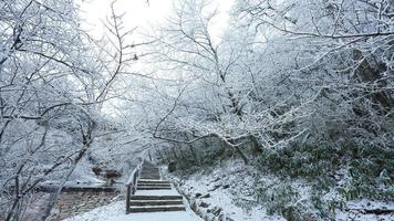 el hermosa congelado montañas ver cubierto por el blanco nieve y hielo en invierno foto