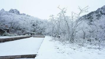 el hermosa congelado montañas ver cubierto por el blanco nieve y hielo en invierno foto